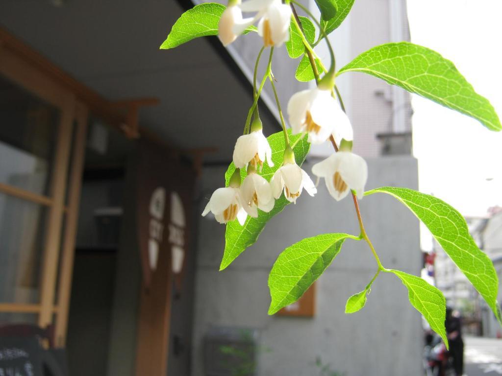 Guesthouse Hyakumanben Cross Κιότο Εξωτερικό φωτογραφία